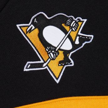 Pittsburgh Penguins hanorac de bărbați cu glugă Head Coach Hoodie Current Logo