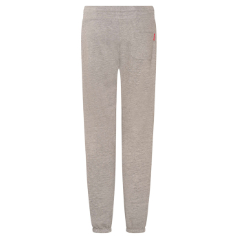 Bayern München pantaloni de trening pentru bărbați Logo grey