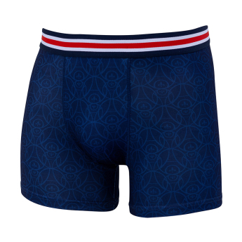 Paris Saint Germain boxeri de copii Stripe blue
