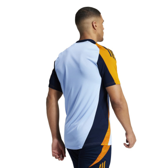 Real Madrid tricou de antrenament pentru bărbați globlue