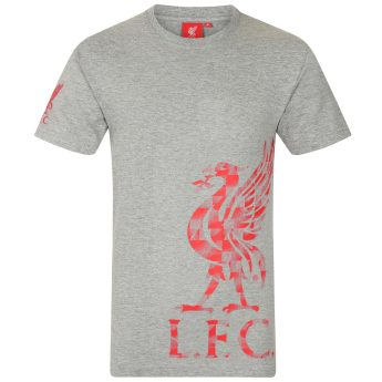 FC Liverpool tricou de bărbați Graphic grey