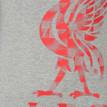 FC Liverpool tricou de bărbați Graphic grey