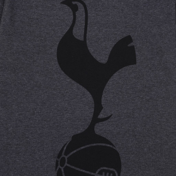Tottenham Hotspur pijamale de bărbați grey