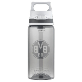 Borussia Dortmund sticlă de băut grey