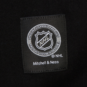Dallas Stars hanorac de bărbați cu glugă Retro Fleece Current Logo