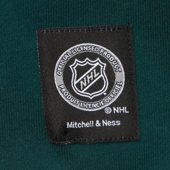 Minnesota Wild hanorac de bărbați cu glugă Retro Fleece Current Logo