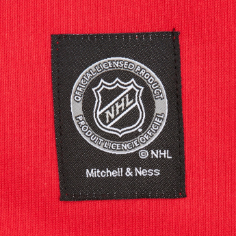 Florida Panthers hanorac de bărbați cu glugă Retro Fleece Current Logo