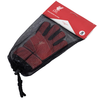 FC Liverpool mănuși de portar pentru copii Fuse Goalkeeper Gloves Kids 67-73mm palm width