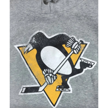 Pittsburgh Penguins hanorac de bărbați cu glugă grey Knockaround Headline