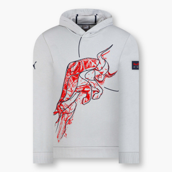 Red Bull Racing hanorac de bărbați cu glugă Dynamic Bull II grey F1 team 2024