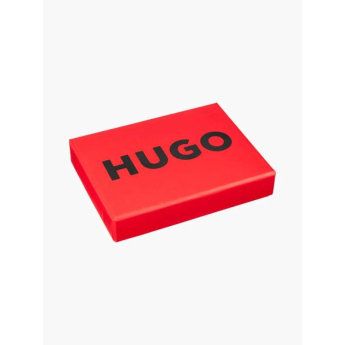 Visa Cash App RB husă de carduri Hugo black F1 team 2024