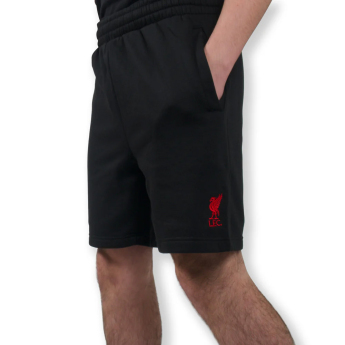 FC Liverpool pantaloni scurți pentru bărbați Shorts black