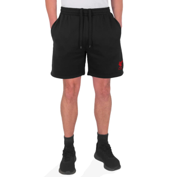 FC Liverpool pantaloni scurți pentru bărbați Shorts black