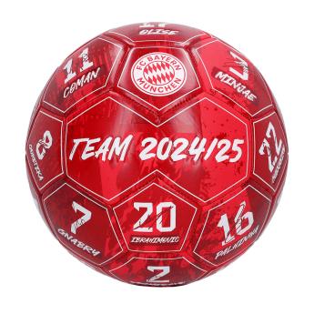 Bayern München balon de fotbal Signature 24/25