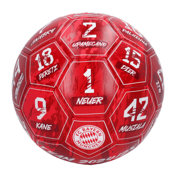 Bayern München balon de fotbal Signature 24/25