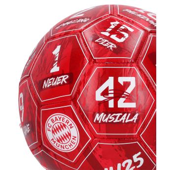 Bayern München balon de fotbal Signature 24/25