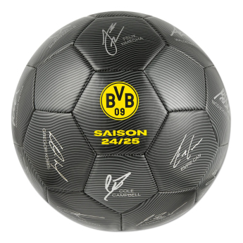 Borussia Dortmund balon de fotbal 24/25 with signatures
