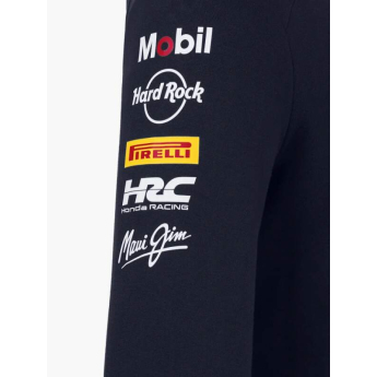 Red Bull Racing hanorac de bărbați cu glugă official Teamline Replica zip navy F1 Team 2025