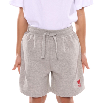 FC Liverpool pantaloni scurți de copii Sweat grey