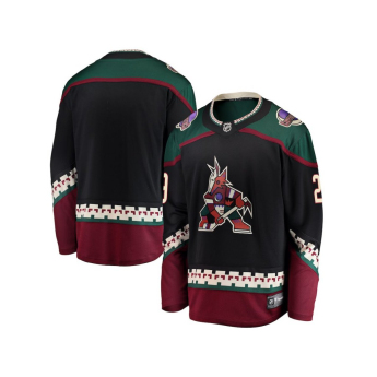 Arizona Coyotes tricou de hochei Karel Vejmelka #70 Breakaway Home Jersey
