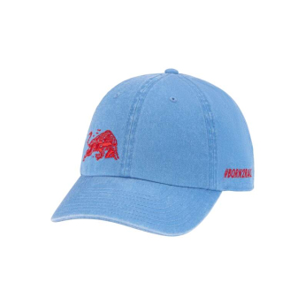 Red Bull Racing șapcă de baseball Race blue 2025