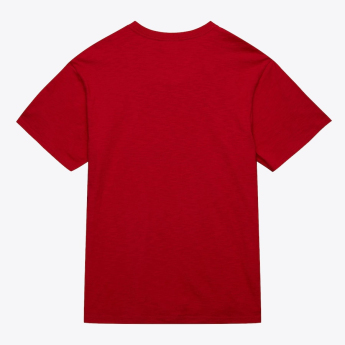 Detroit Red Wings tricou de bărbați NHL Legendary Slub Ss