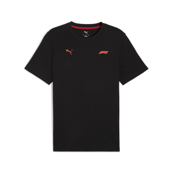 Formula 1 tricou de bărbați Small Logo black F1 Team 2025