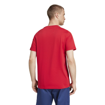 Bayern München tricou de bărbați DNA Tee red