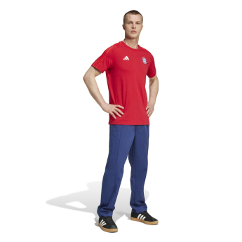 Bayern München tricou de bărbați DNA Tee red
