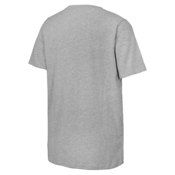 Florida Panthers tricou de copii 2025 Stanley Cup Champions Locker Room gray
