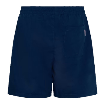 Bayern München costume de baie pentru bărbați Reactive navy
