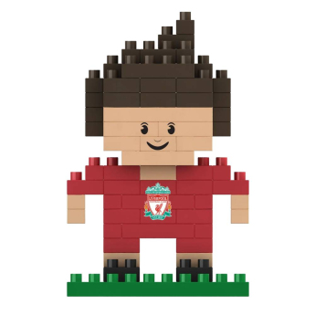 FC Liverpool set de construcție 3D Player