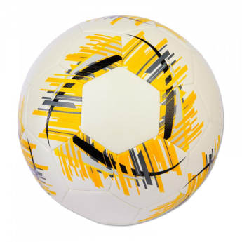 Borussia Dortmund balon de fotbal Streak