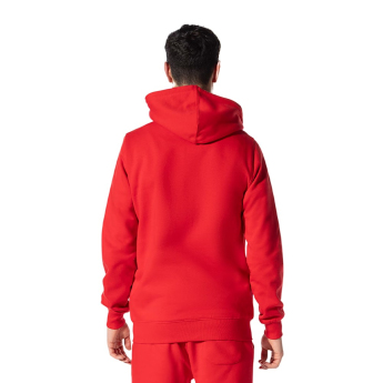 Bayern München hanorac de bărbați cu glugă Hooded Zip red