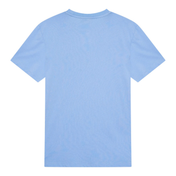Manchester City tricou de bărbați Fan Home