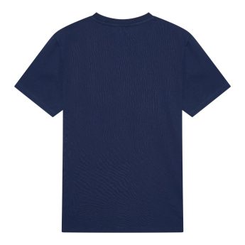 Manchester City tricou de bărbați Fan Away