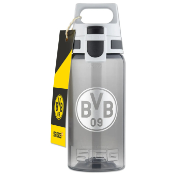 Borussia Dortmund sticlă de băut grey