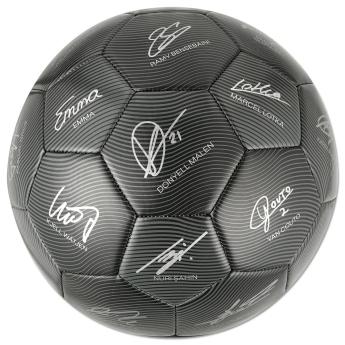 Borussia Dortmund balon de fotbal 24/25 with signatures
