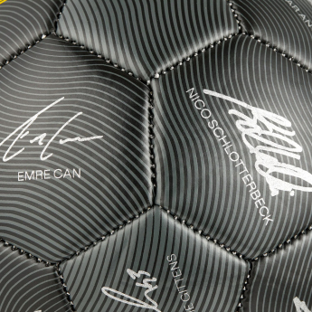 Borussia Dortmund balon de fotbal 24/25 with signatures