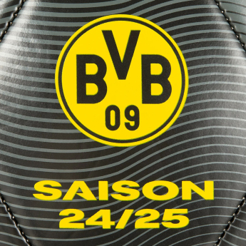Borussia Dortmund balon de fotbal 24/25 with signatures