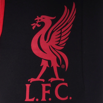 FC Liverpool boxeri de bărbați Premium black