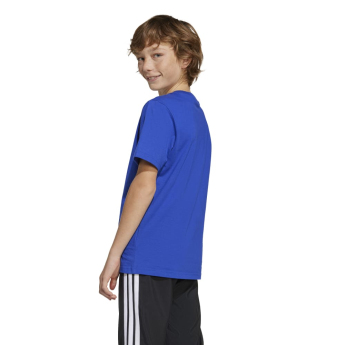 Lionel Messi tricou de copii MESSI Name and number blue