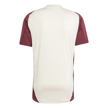 Bayern München tricou de antrenament pentru bărbați EU shadow