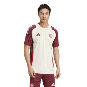 Bayern München tricou de antrenament pentru bărbați EU shadow