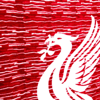 FC Liverpool prosop Beach