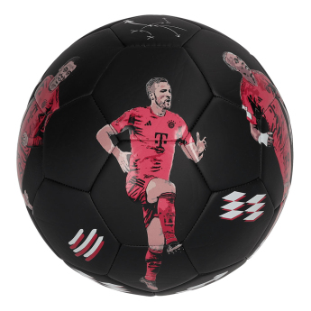 Bayern München balon de fotbal Player 24/25