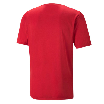 Echipa națională de fotbal tricou de fotbal Czech republic replica Fan