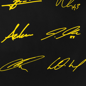 Borussia Dortmund cearșaf pentru un pat 24/25 with signatures