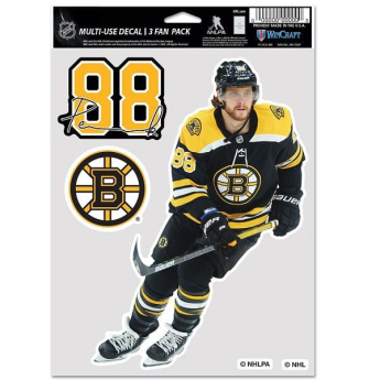 Boston Bruins abțibilduri David Pastrnak #88 Color Decal