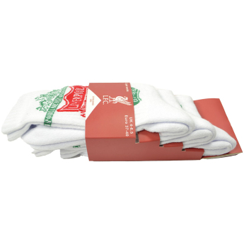 FC Liverpool set șosete Sport